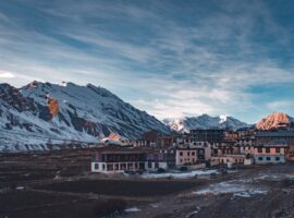 Hotels in Leh